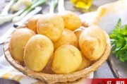 娱乐吃瓜小金土豆,揭秘吃瓜群众背后的土豆人生